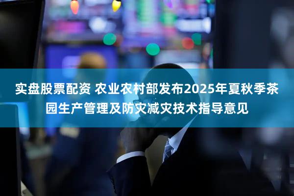 实盘股票配资 农业农村部发布2025年夏秋季茶园生产管理及防灾减灾技术指导意见