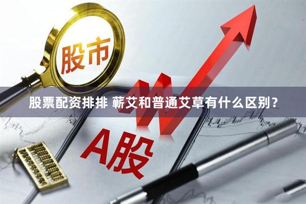 股票配资排排 蕲艾和普通艾草有什么区别？
