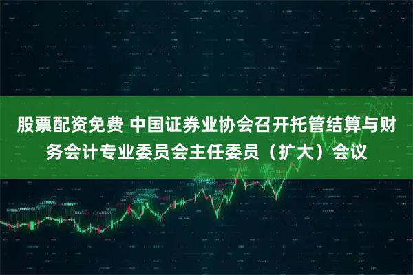 股票配资免费 中国证券业协会召开托管结算与财务会计专业委员会主任委员（扩大）会议