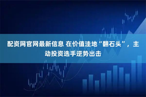 配资网官网最新信息 在价值洼地“翻石头”，主动投资选手逆势出击